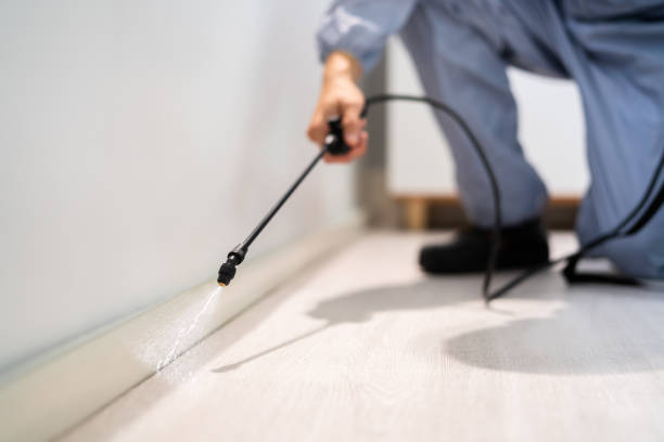 Licensed Pest Control service in Blacksburg, VA - Show Me Pest Control
