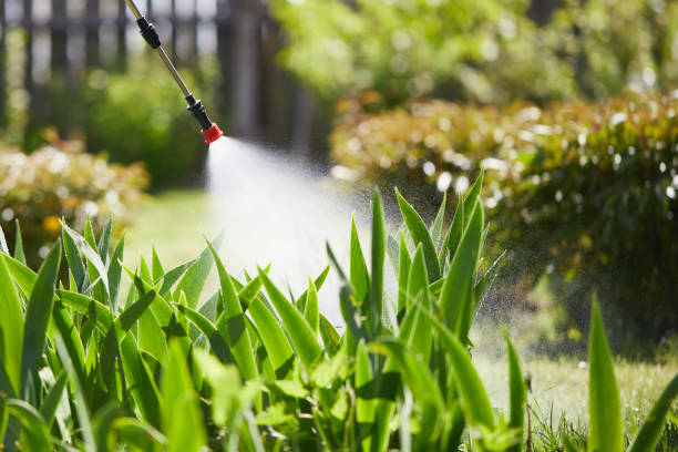 Tamper-Resistant Bait Stations for Rodents in Blacksburg