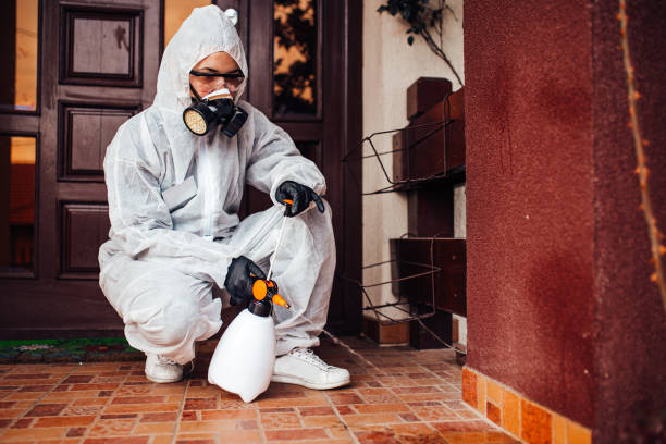 Attic and Crawl Space Rodent Treatment in Blacksburg