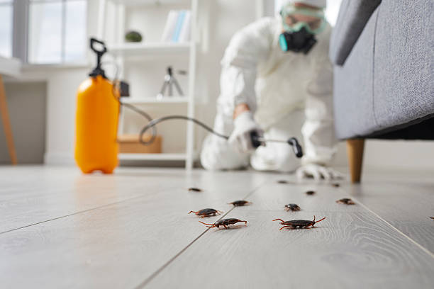 Commercial Rodent Management in Blacksburg